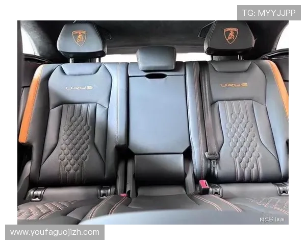 兰博基尼娱乐：奢华车主专属的娱乐空间与个性化定制服务介绍